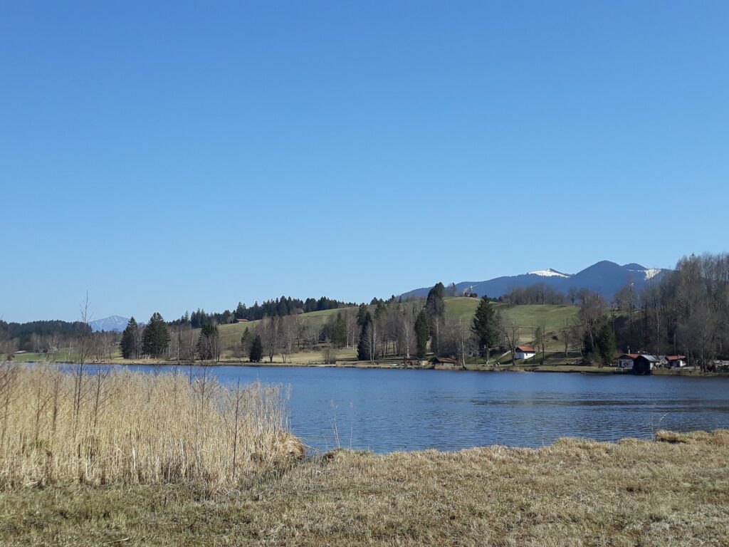 Soier See